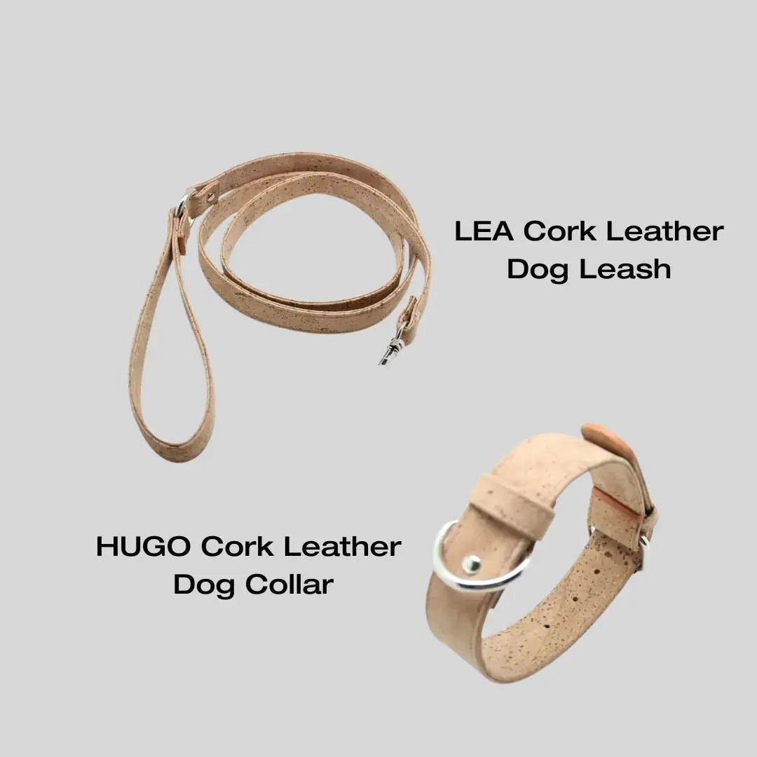 Pet Dog Leash & Collar Cork Leather DUO I HUGOM I Wholesale Cork Leather